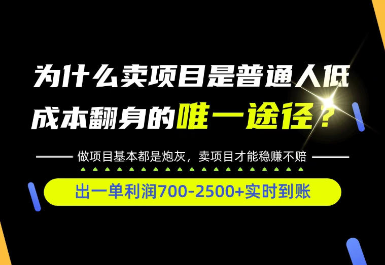普通人如何靠互联网賺取自己的第一桶金!全类目实操型教学,看完你全都懂了!【揭秘】-阿灿学库